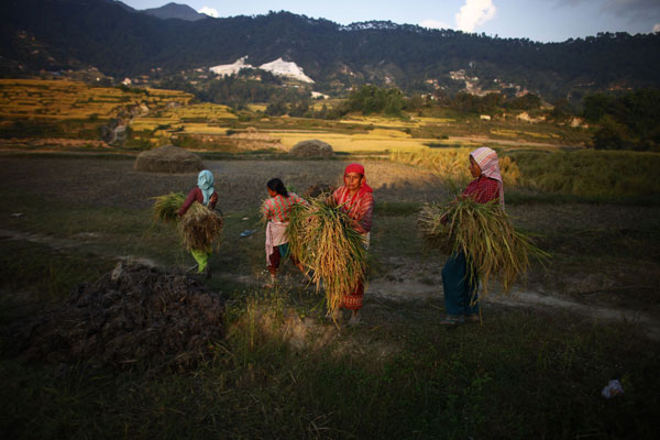 zetva nepal
