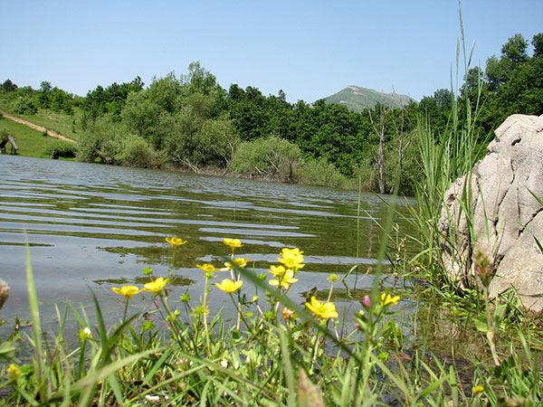sokob-Vrmdžansko-jezero-i-Rtanj-u-pozadini