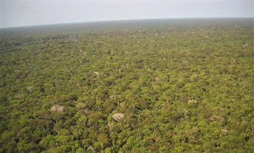 Amazonska prašuma proizvodi više ugljen-dioksida nego što apsorbuje