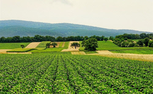 Procena rizika od zagađenja poljoprivrednog zemljišta