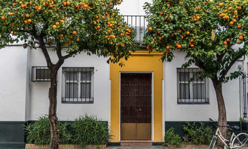 pomorandže Sevilja