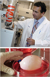 Doktor Atala u svojoj laboratoriji
