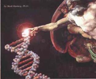 Genom 1