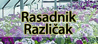 Rasadnik
